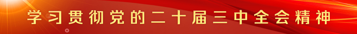 学习贯彻党的二十届三中全会精神