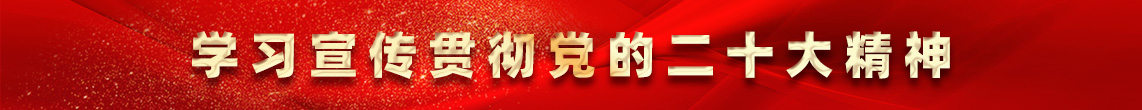 二十大精神