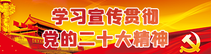 二十大精神